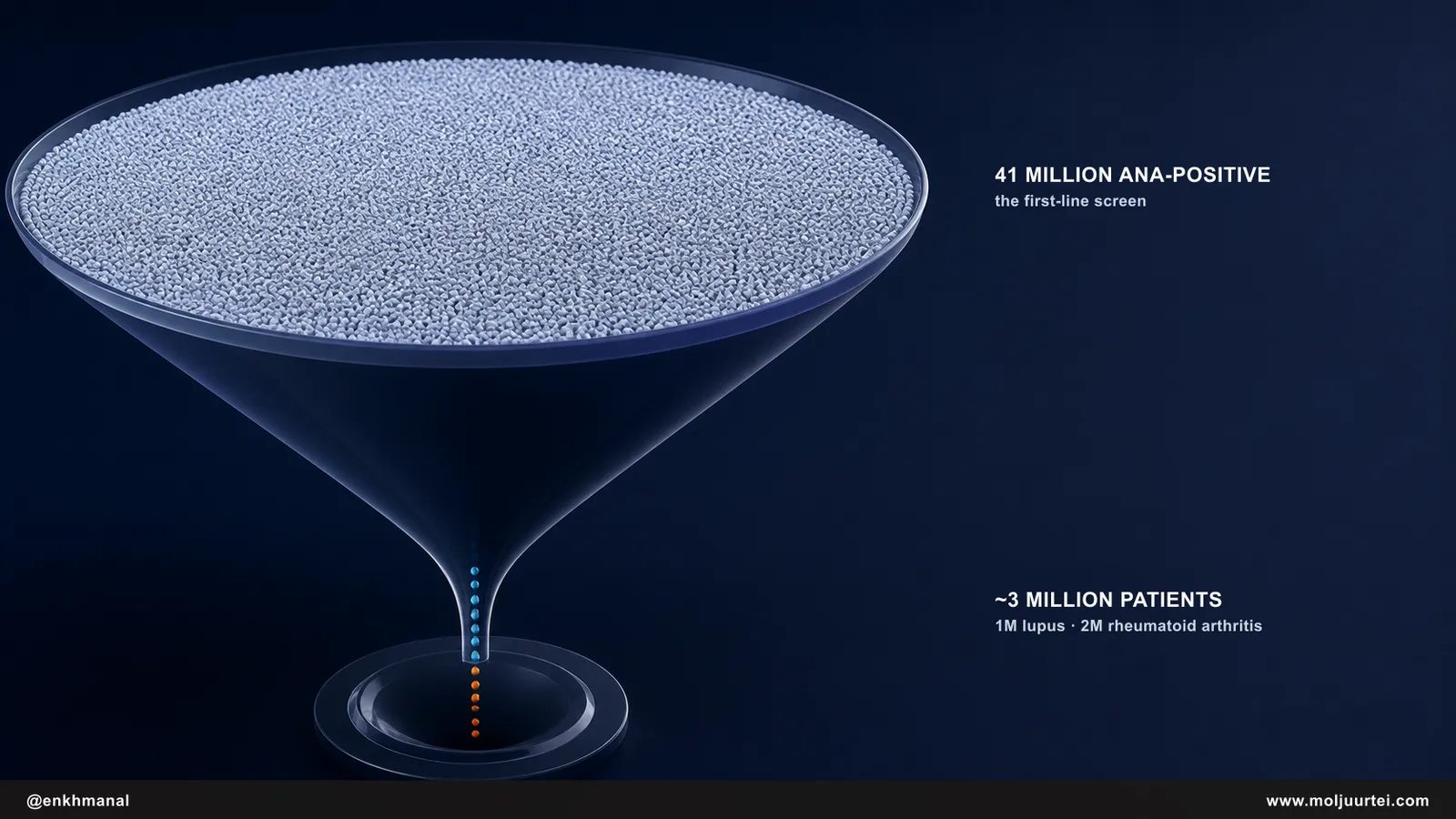 A steeply narrowing funnel showing 41 million ANA-positive Americans resolving to roughly 3 million actual lupus and rheumatoid arthritis patients