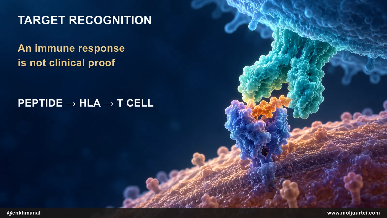 Conceptual tumor peptide displayed in HLA and recognized by a T-cell receptor