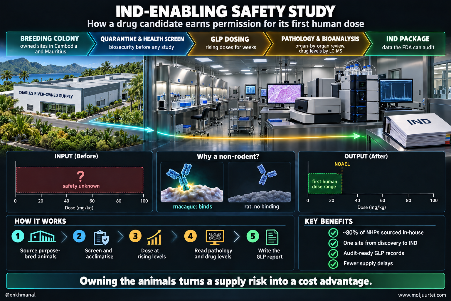 Technology poster: an IND-enabling GLP safety study from Charles River-owned breeding colony through quarantine, dosing, pathology and bioanalysis to the IND package