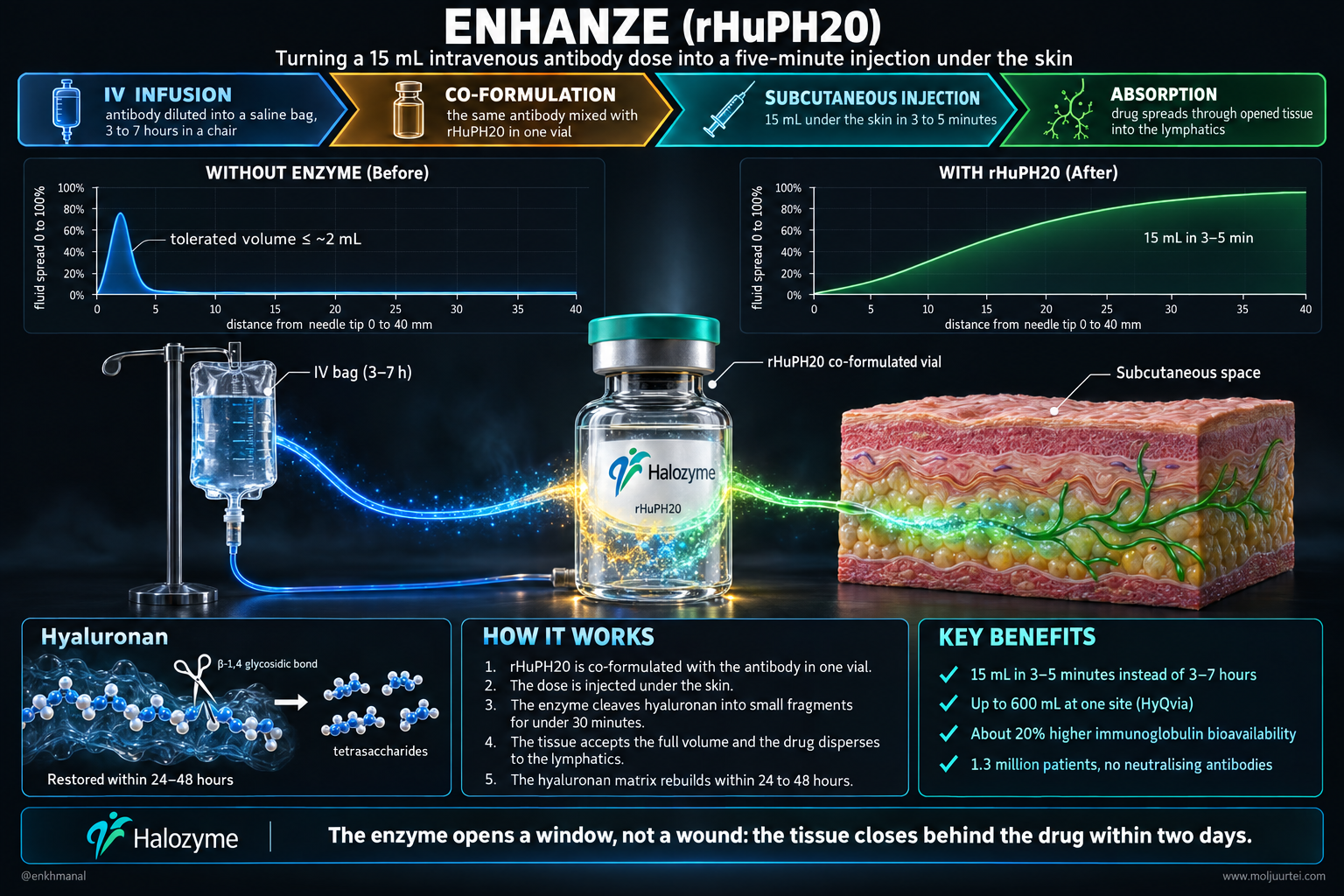 ENHANZE хэрхэн ажилладаг вэ: эсрэгбиеийн эмийг rHuPH20-той хамт найруулж арьсан доор тарих, ферменттэй ба ферментгүй үеийн шингэний тархалтыг ижил тэнхлэгээр харьцуулах зураг