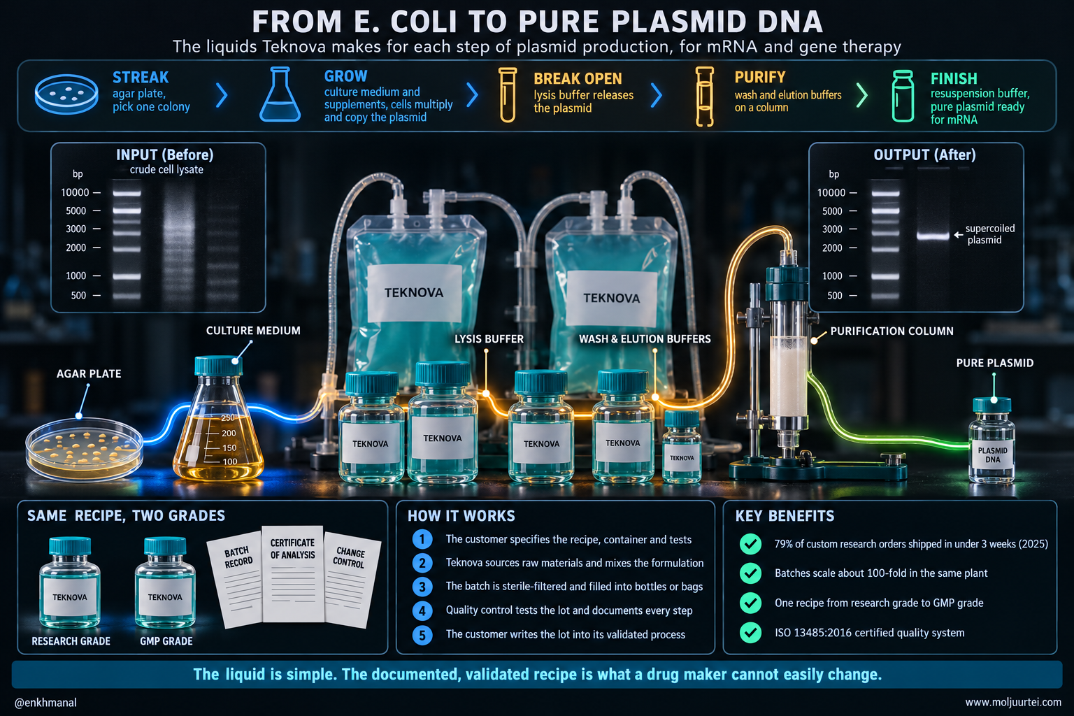 Technology poster: how Teknova's agar plates, culture media, lysis buffer and wash and elution buffers carry an E. coli culture to pure plasmid DNA